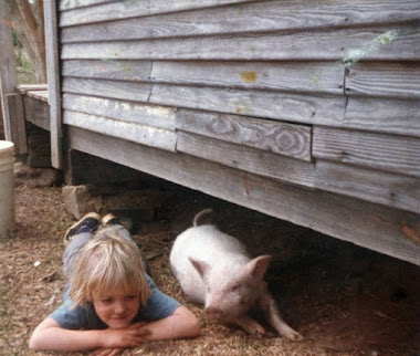 A child peeking out beside a pig under a farm building