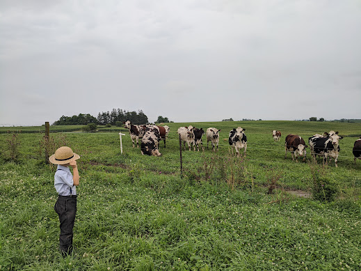 Family, farm, and animal memories from Sam’s photo album.