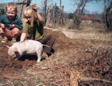 Children crouched near a pig outdoors on a farm.
